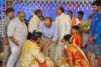 Celebs at Producer Rammohan Rao Daughter Wedding Photos